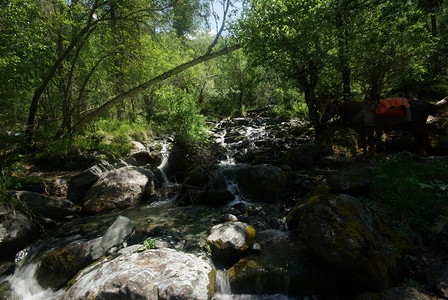 森林石头山中的河峡谷附近石头和岩河流附近的头和岩美丽的山地区河美丽地背景