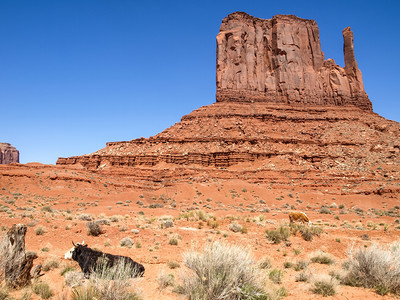 古老岩石的景观亚利桑那州的古迹谷图片