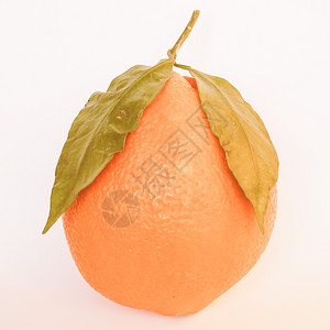 橙子水果素食品简单背景背景图片