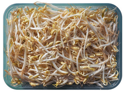 Mung豆芽蔬菜Mung豆VignaRadiata种植akamoong豆或绿色蔬菜素食品图片