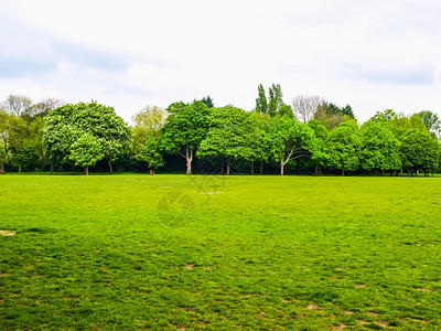 城市公园人类发展报告高动态分布区联合王国伦敦英摄政者公园地貌背景图片