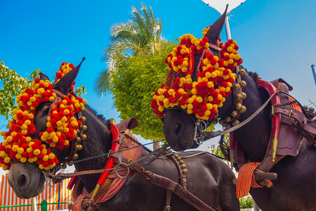 美丽的马与五颜六色的装饰品参加著名的安达卢西亚马展安杜贾尔西班牙图片