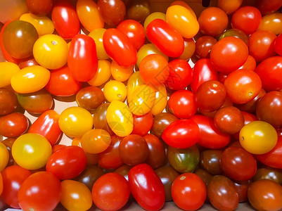 背景色彩细的西红柿图片