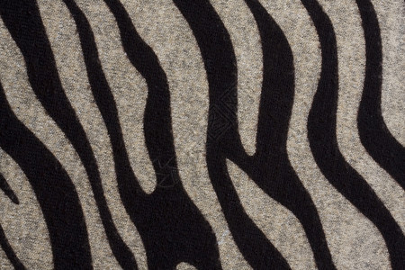 斑马结构布背景的纹理图片