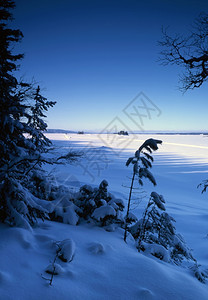 美丽的冬季风景有雪和蓝天空图片