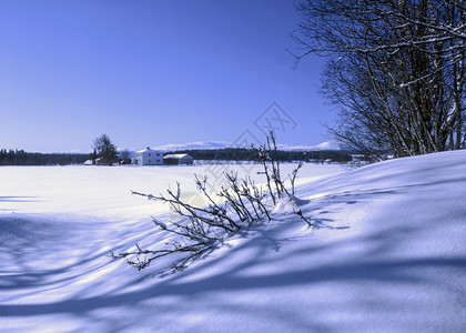 美丽的冬季森林景观图片