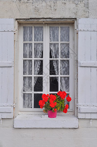带有的窗口传统带有红花图片