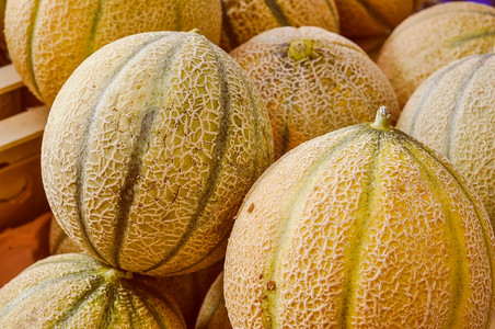 Melon水果Melon水果有机素食品图片