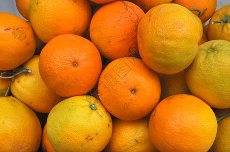 橙子水果食品甜橙子Citrusxsinensis水果素食品图片