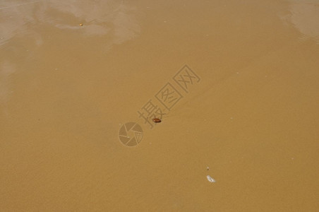棕色沙表面背景有复制空间棕色沙表面作为背景有复制空间用图片