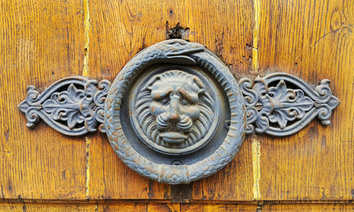 法国特洛伊旧木门纹身装饰狮子头和蛇环图片