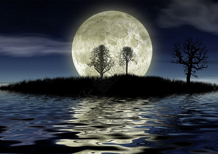 月亮岛浪漫的夜晚茂密岛屿植被树木和美妙的月亮背景