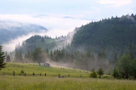夏季山的浓雾图片