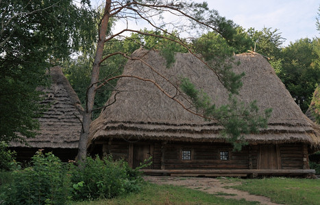 乌克兰在森林边缘的古老历史农场图片