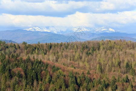 山脉喀尔巴阡乌克兰图片