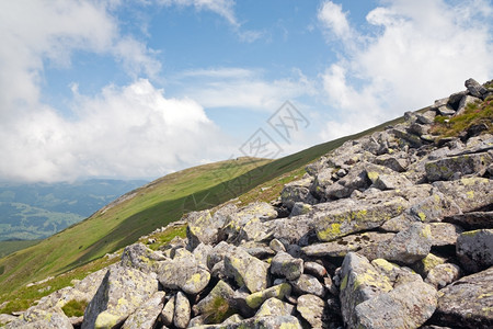 夏季山边乌克兰喀尔巴阡山的平粉红多登山花和大块石头图片