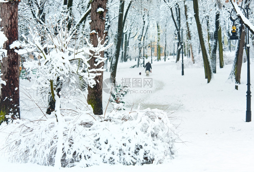 冬季城市公园的雪树和老年妇女日落
