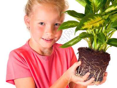 女孩与室内植物迪芬巴赫皮卡玛丽安隔离在白色背景上图片