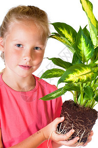 女孩与室内植物迪芬巴赫皮卡玛丽安隔离在白色背景上图片