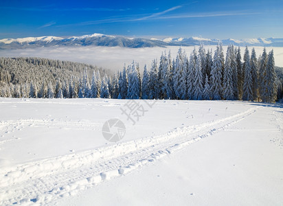 冬季平静的山地景观从Bukovel滑雪度假胜地乌克兰到Svydovevets山脊图片