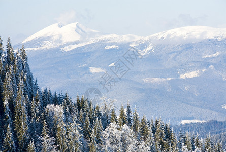 冬季山区景观从Bukovel滑雪胜地乌克兰到Syvulja山图片
