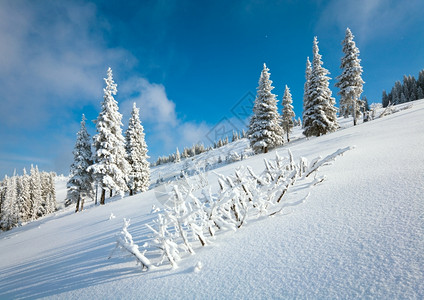 山上边蓝天空背景的风雪覆盖了山边的林背景图片