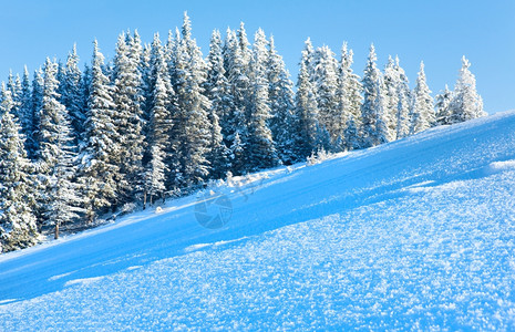 冬山风景前和森林后面的山坡上有雪图片