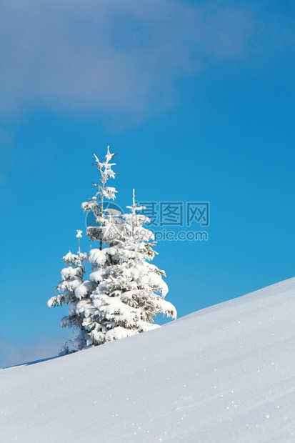 冬雪覆盖了山坡上蓝天空背景的山边风雪覆盖了卷木图片