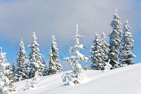 冬季雪覆盖了山边的卷毛树在天上覆盖的空背景图片