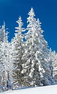 冬雪覆盖了山坡上蓝天空背景的山边风雪覆盖了卷木背景图片