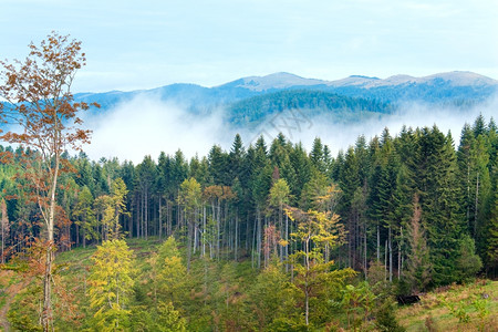 云丘山9月喀尔巴阡山丘和阴云的月光后面背景