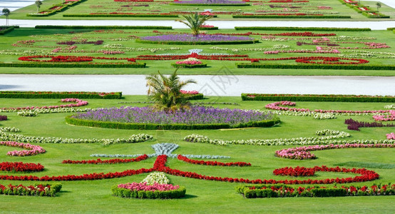 奥地利维也纳Schonbrunn宫前的面积在草坪上盛开花朵图片
