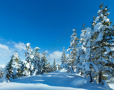 冬季山林风雪景观帕佩格诺巴恩山顶奥地利费尔兹穆斯图片