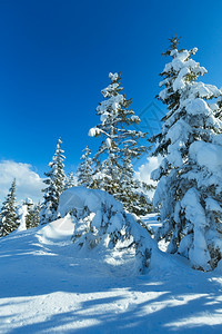冬季山林风雪景观帕佩格诺巴恩山顶奥地利费尔兹穆斯图片
