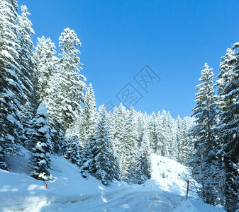 冬季山地风景与森林和高山公路图片