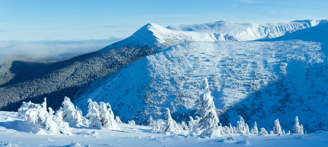 冬季山地景观前面斜坡上有雪树喀尔巴阡山乌克兰图片