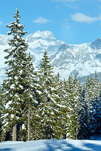 冬季山林风雪景观帕佩格诺巴恩山顶奥地利费尔兹穆斯图片