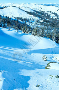 冬季山地景观斜坡上有雪树奥地利霍奇科尼希区图片