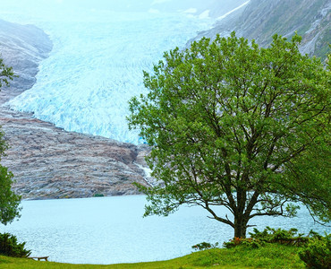 Svartisvatnet湖和Svartisen冰川挪威梅洛伊图片