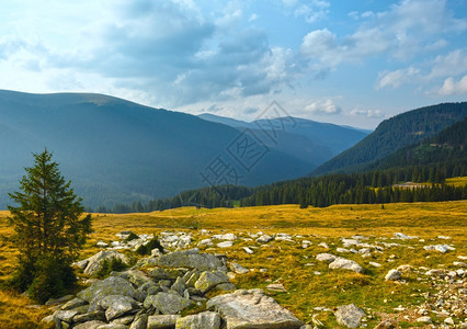 从Transalpina公路南喀尔巴阡山罗马尼亚看夏季图片