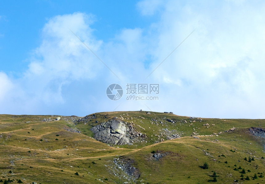 从Transalpina公路罗马尼亚南喀尔巴阡山的夏季观察山坡上有羊群图片