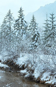 冬季小溪河岸上有雪树图片