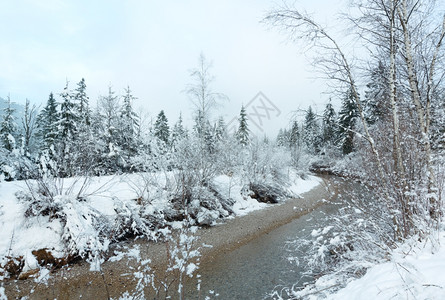 冬季小溪河岸上有雪树图片