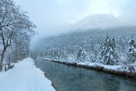 冬季小溪河岸上有雪树图片