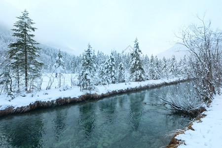 冬季小溪河岸上有雪树图片