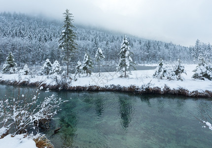 冬季小溪河岸上有雪树图片