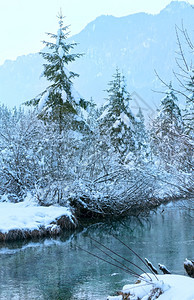 冬季小溪河岸上有雪树图片