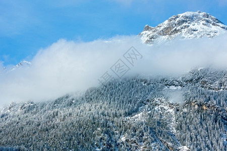 冬季山地景观坡和云上有fir森林奥地利蒂罗尔图片