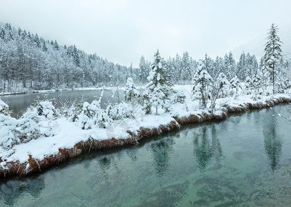 冬季小溪河岸上有雪树图片