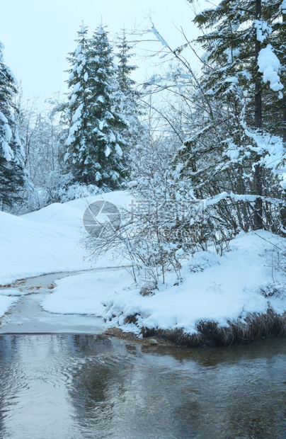 冬季小溪河岸上有雪树图片